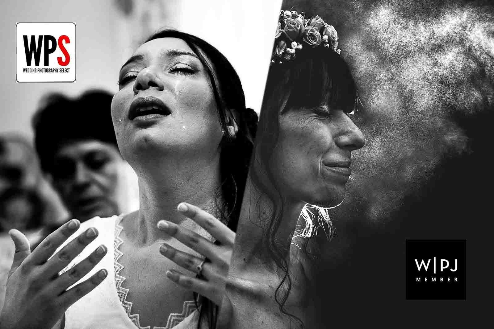 Award internationnaux Franck Petit photographe agen