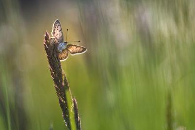 Photographe agen Fanck Petit mariage lot et garonne