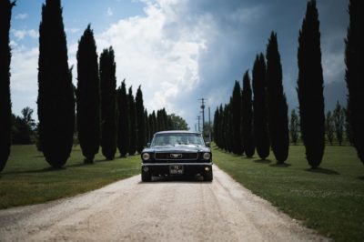 Photographe Agen Franck Petit 47 mariage lot et garonne